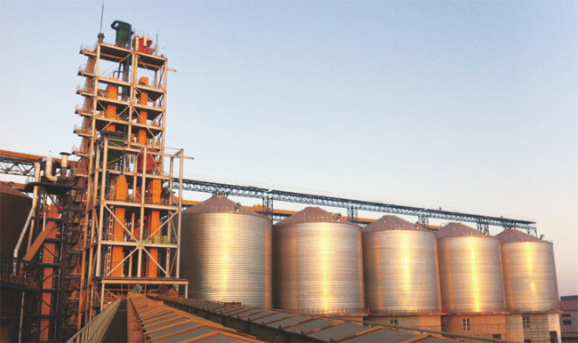 山東北大荒糧食倉(cāng)儲(chǔ)物流建設(shè)總承包項(xiàng)目