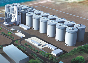 阿聯(lián)酋糧食戰(zhàn)略儲(chǔ)備項(xiàng)目